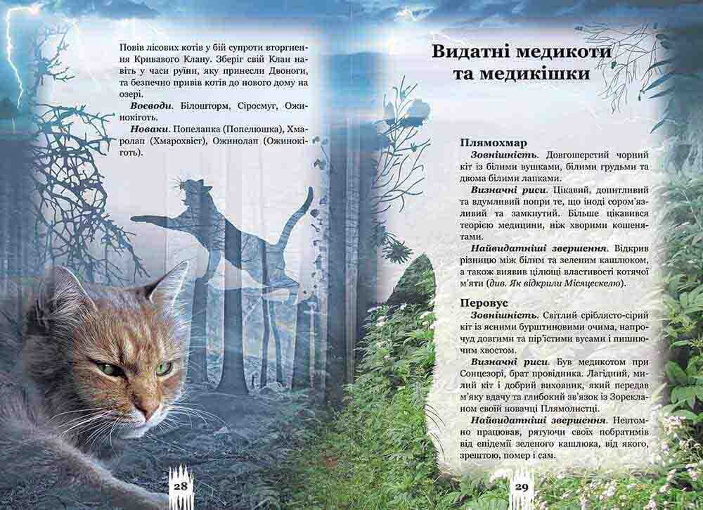 Книга Коти - вояки. Таємниці кланів. Путівник по серії - Ерін Гантер. Фото 2