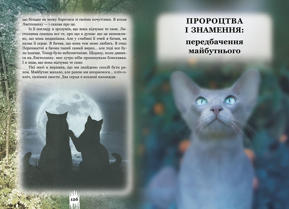 Книга Коти - вояки. Таємниці кланів. Путівник по серії - Ерін Гантер. Фото 4