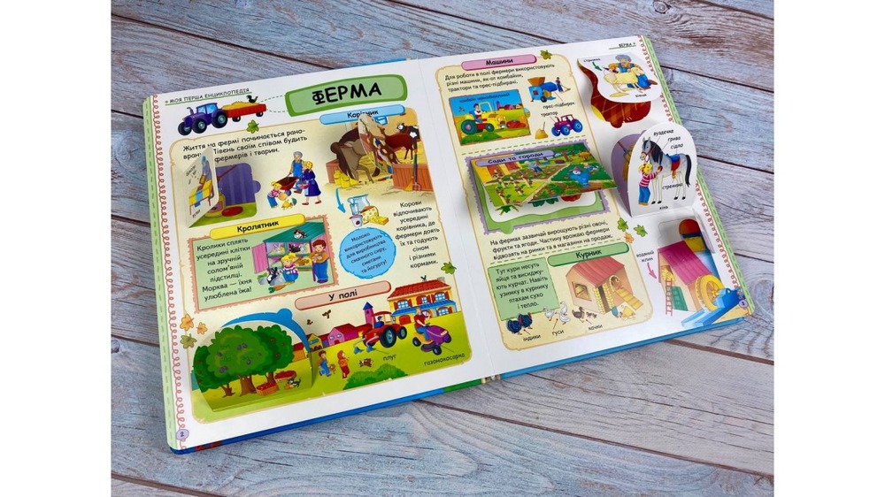 Книга Моя перша енциклопедія. Цікаві факти. 82 віконця. Фото 4