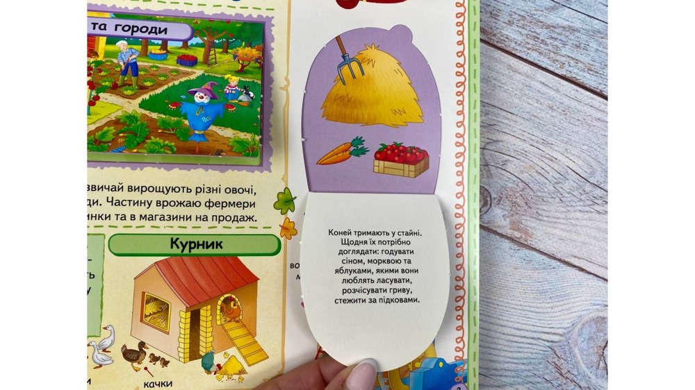 Книга Моя перша енциклопедія. Цікаві факти. 82 віконця. Фото 5