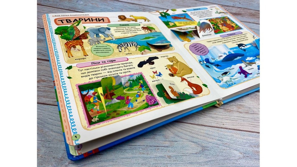 Книга Моя перша енциклопедія. Цікаві факти. 82 віконця. Фото 6