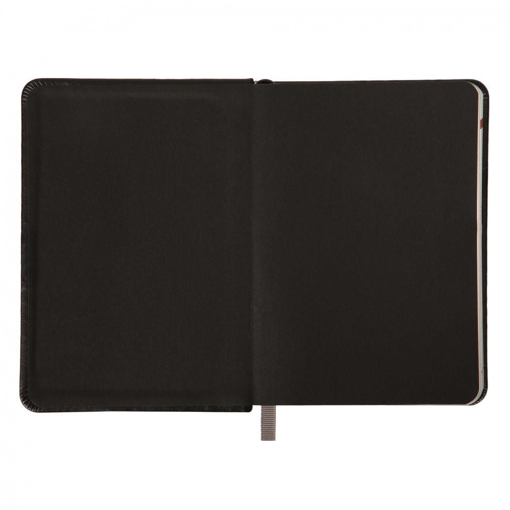 Щоденник датований 2026 Leo Planner ф. А6 "Bruno", твердий, 352 сторінки. Фото 3