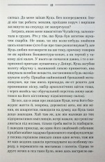 Книга Рік Шершня - Василь Шкляр. Фото 14