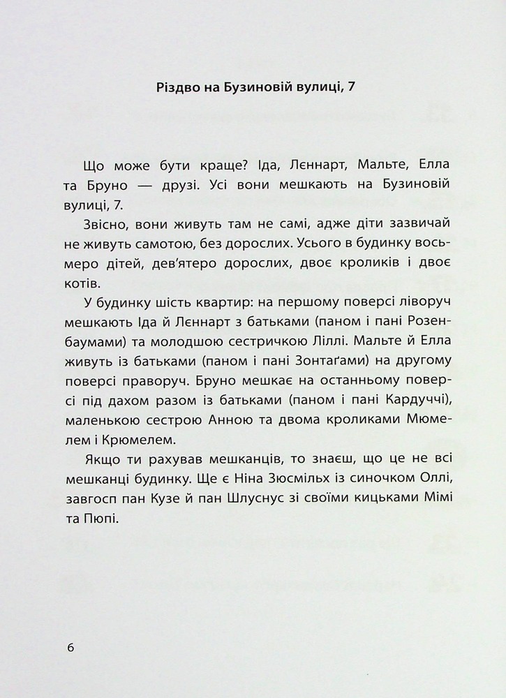Книга Різдво на Бузиновій вулиці - Мартіна Баумбах. Фото 9