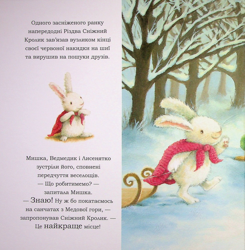 Книга Сніжний Кролик і різдвяний подарунок - Ребекка Гаррі. Фото 9