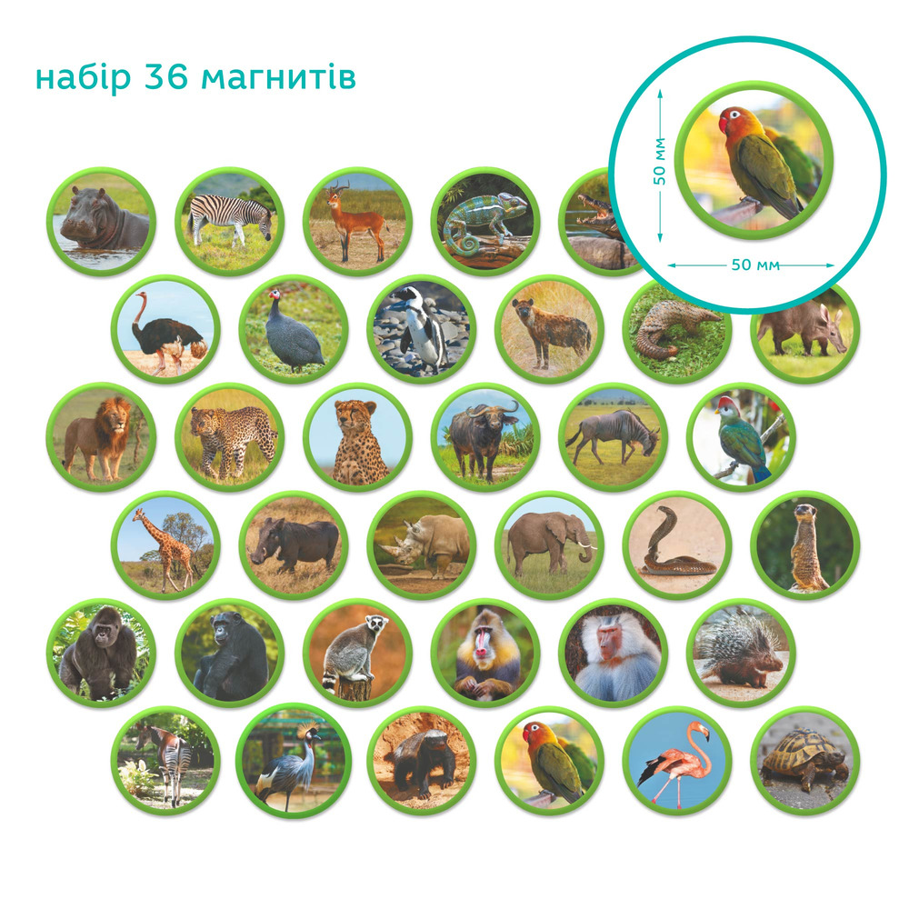 DoDo Магнітний набір Монтесорі - Тварини на континентах: Африка 200284. Фото 4