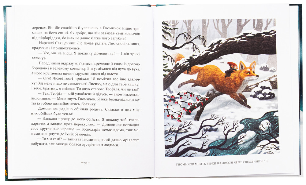 Книга Різдвяні оповідки про гнома та видимих і невидимих лісових мешканців - Бернадетта Бородзюк. Фото 6