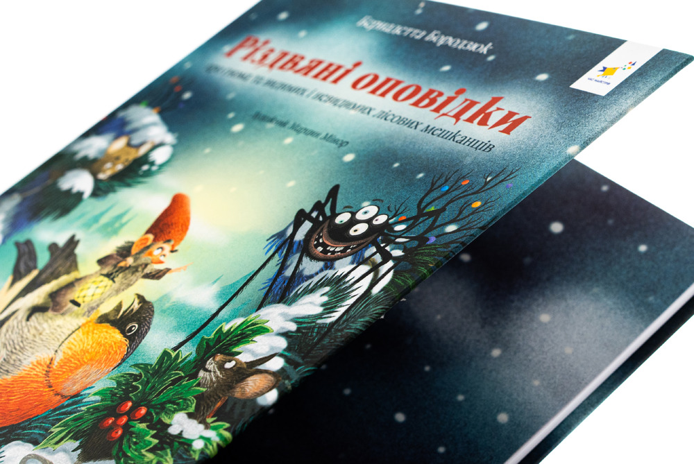 Книга Різдвяні оповідки про гнома та видимих і невидимих лісових мешканців - Бернадетта Бородзюк. Фото 4