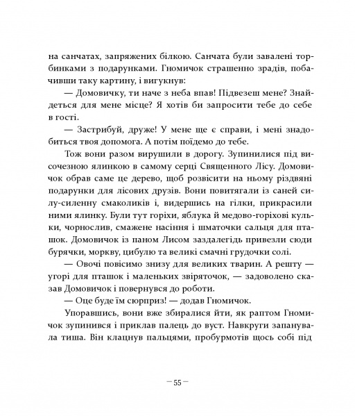 Книга Різдвяні оповідки про гнома та видимих і невидимих лісових мешканців - Бернадетта Бородзюк. Фото 16