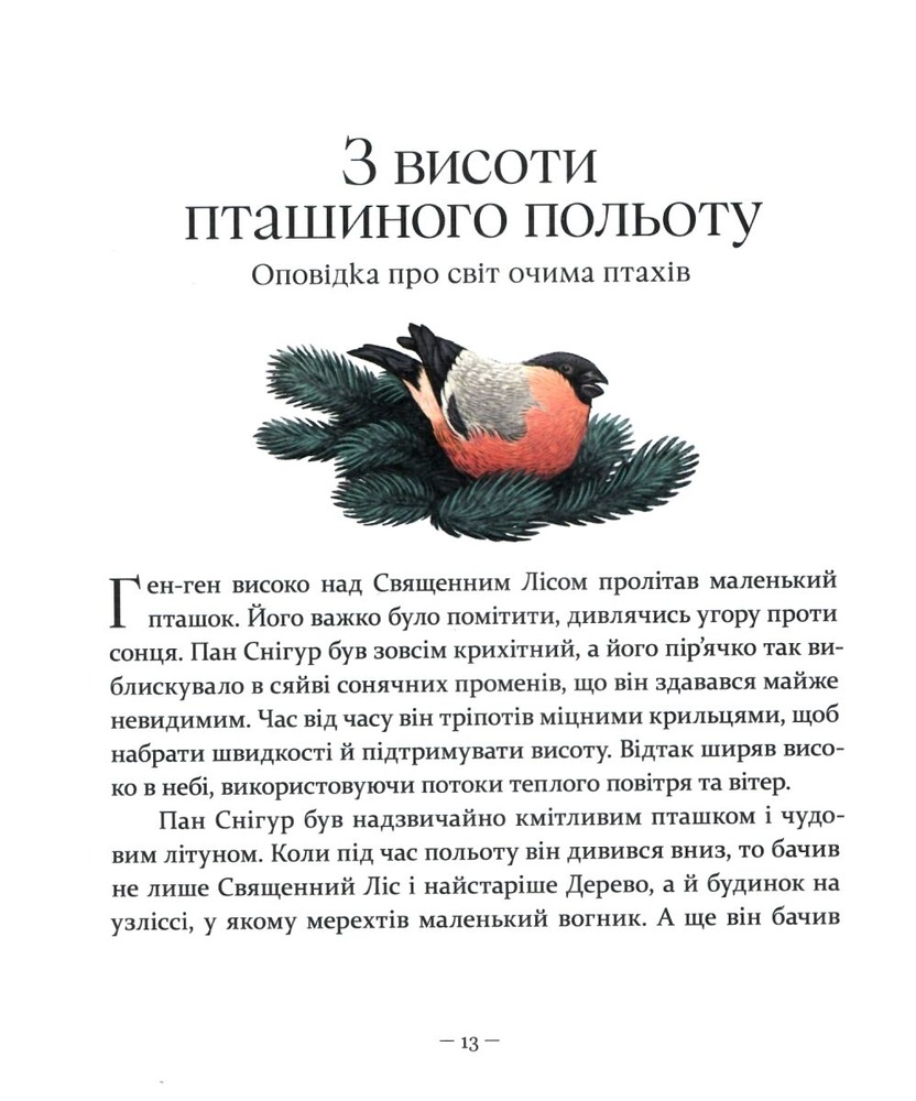 Книга Різдвяні оповідки про гнома та видимих і невидимих лісових мешканців - Бернадетта Бородзюк. Фото 12