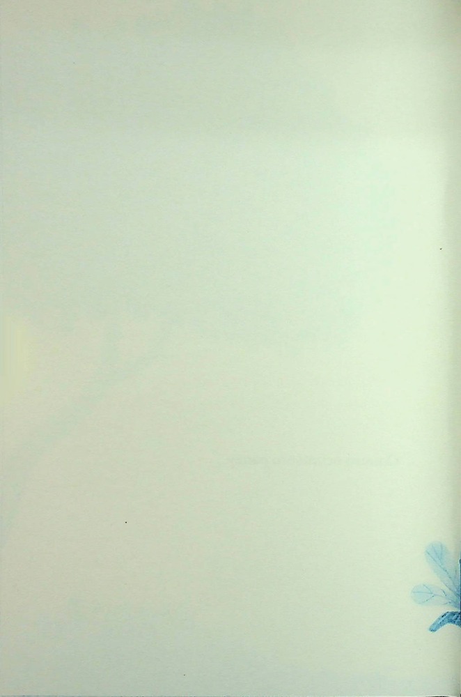 Книга Лисичка вирушає на Північ - Джеремі Стронг. Фото 8