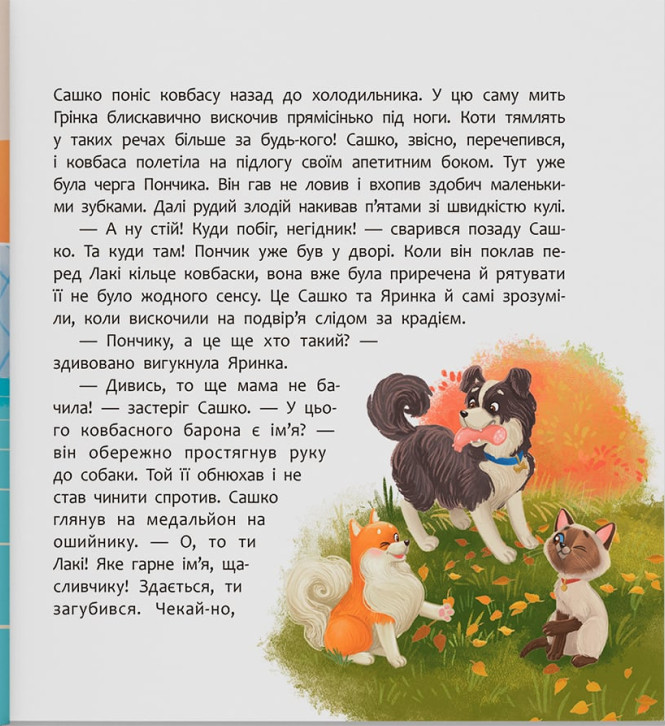 Книга Хвостаті пригоди. Пончик та Грінка не бояться забіяк - Юлія Риженко. Фото 13