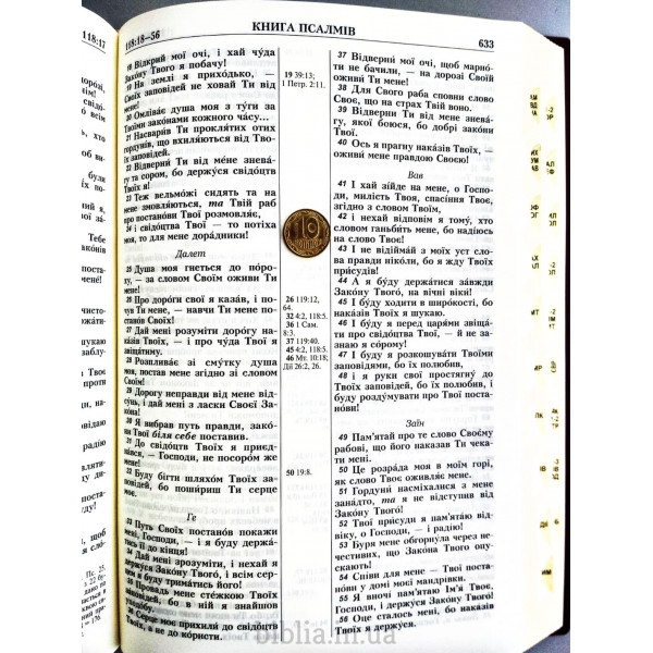 Біблія 072ТІ вініл індекси Огієнко 101-72-02. Фото 6