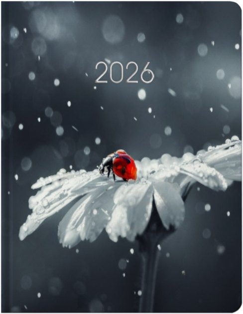 Щоденник датований 2026 Economix, друкована обкладинка, А5 (сонечко)