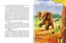 Книга Африка Казика - Лукаш Вєжбицький. Фото 4