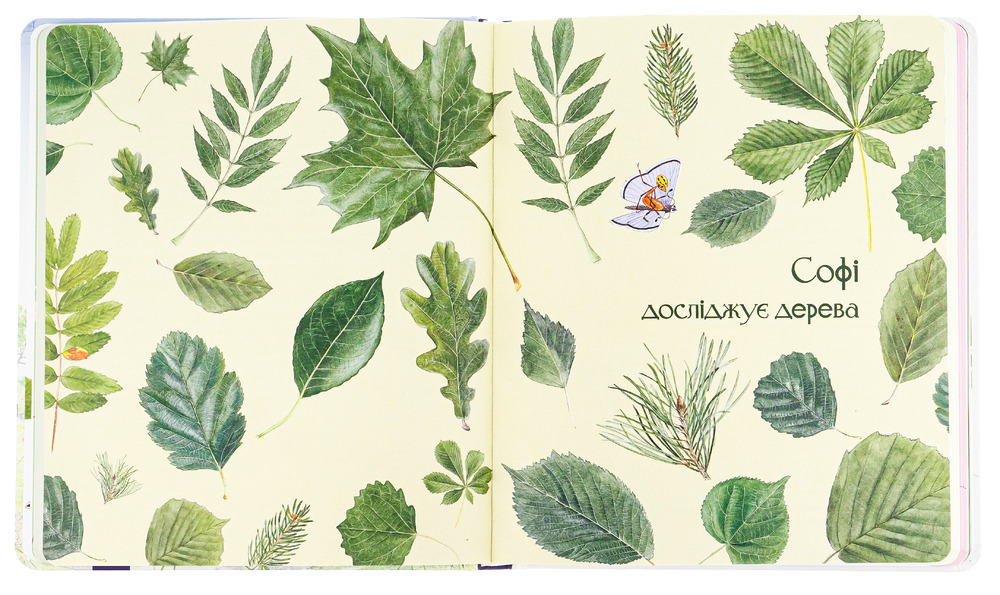 Книга Експедиція з мурахою Софі - Стефан Каста. Фото 9