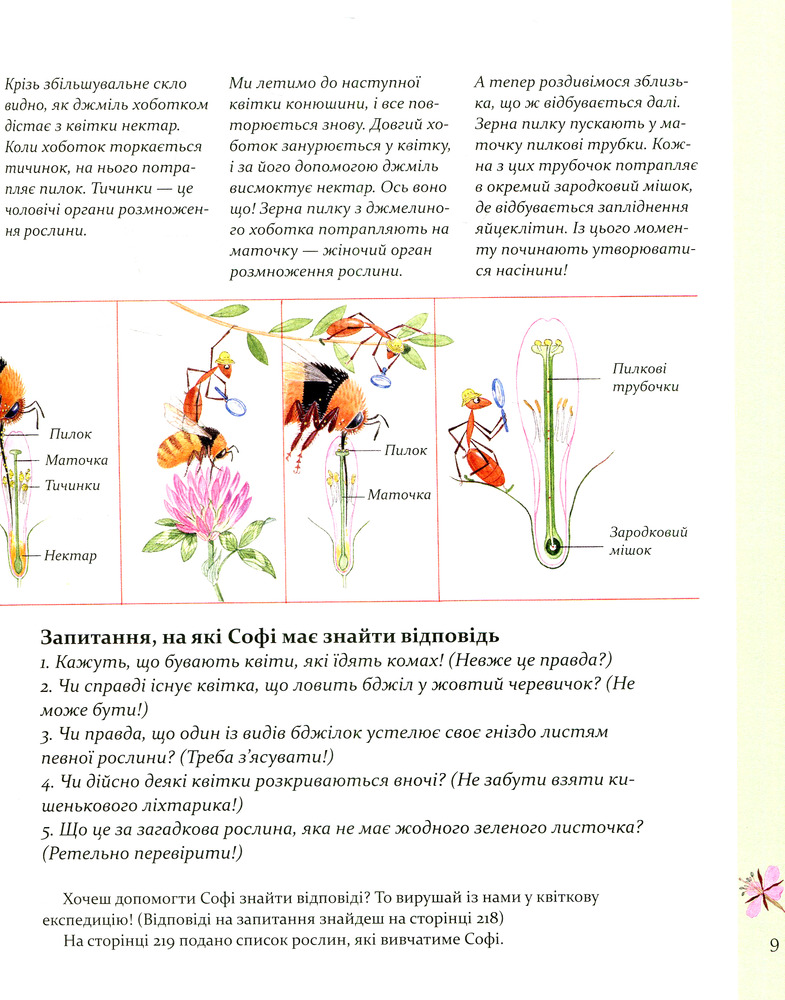 Книга Експедиція з мурахою Софі - Стефан Каста. Фото 14