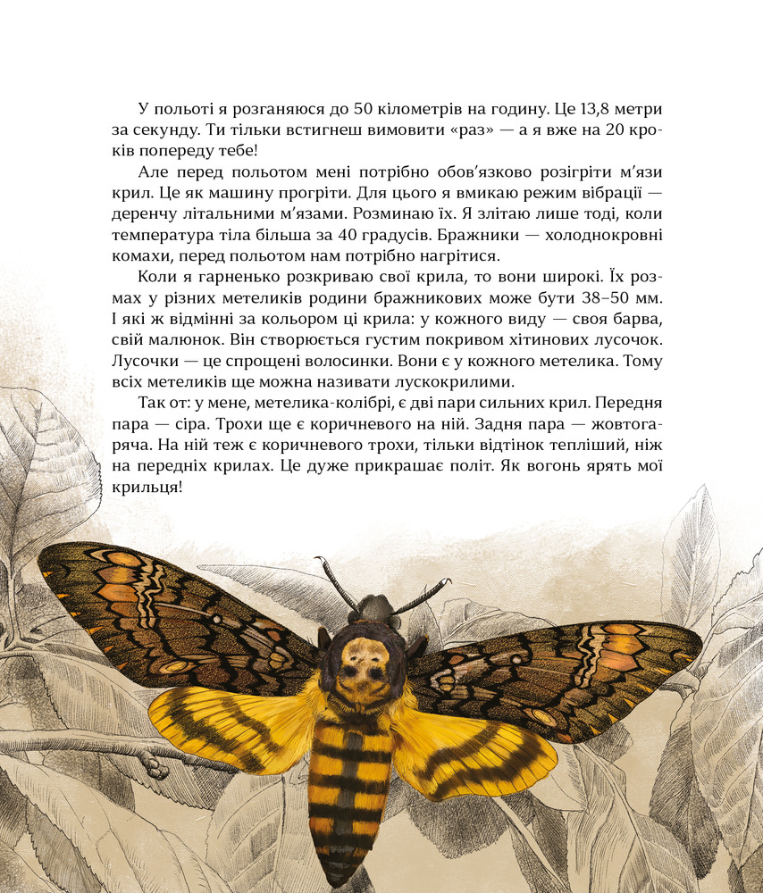 Книга Як зрозуміти тварин - Ольга Заєць. Фото 14