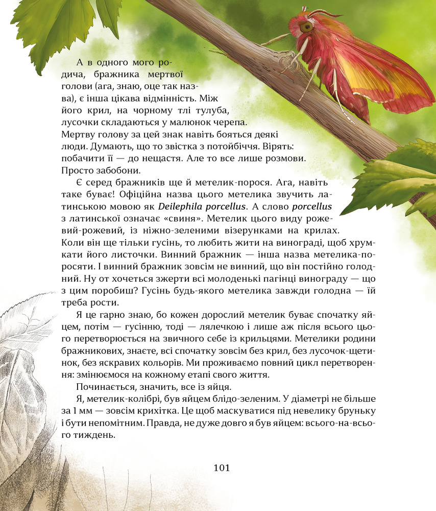 Книга Як зрозуміти тварин - Ольга Заєць. Фото 15