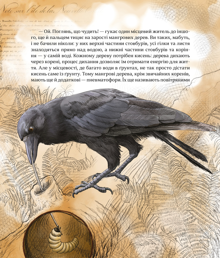 Книга Як зрозуміти тварин - Ольга Заєць. Фото 5