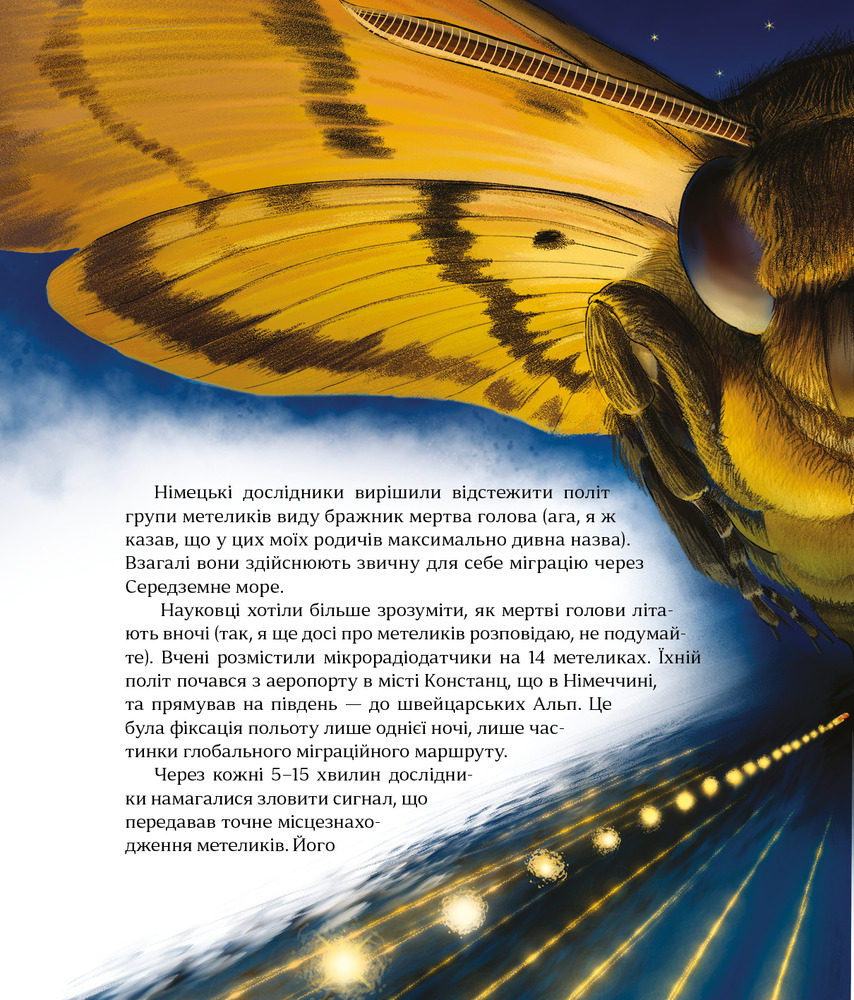 Книга Як зрозуміти тварин - Ольга Заєць. Фото 16