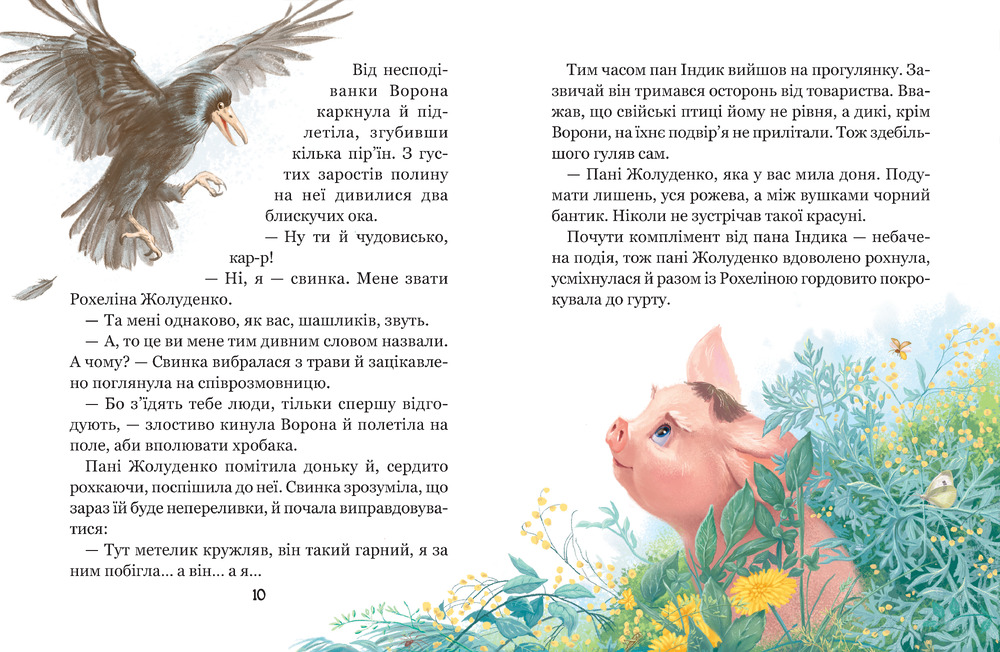 Книга Рохеліна Жолуденко та Бінго - Олена Скуловатова. Фото 5