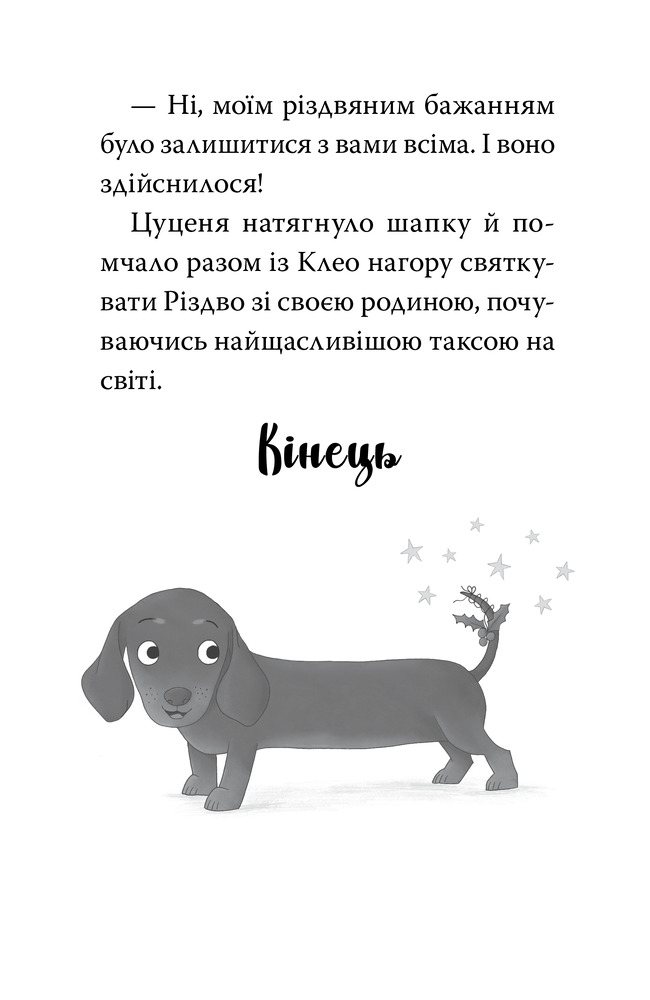 Книга Такса Стенлі. Книга 1. Такса. Санта - Белла Свіфт. Фото 8