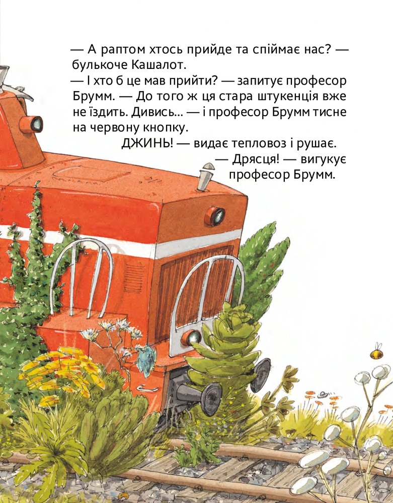 Книга Шалений тиждень професора Брума - Даніель Напп. Фото 13