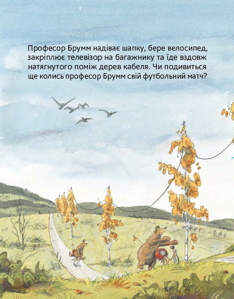 Книга Шалений тиждень професора Брума - Даніель Напп. Фото 26