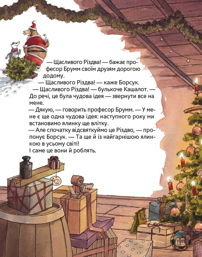 Книга Професор Брумм святкує Різдво - Даніель Напп. Фото 4