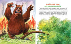 Книга Киці-мандрівниці. Книга 6. Спільна історія - Галина Манів. Фото 2