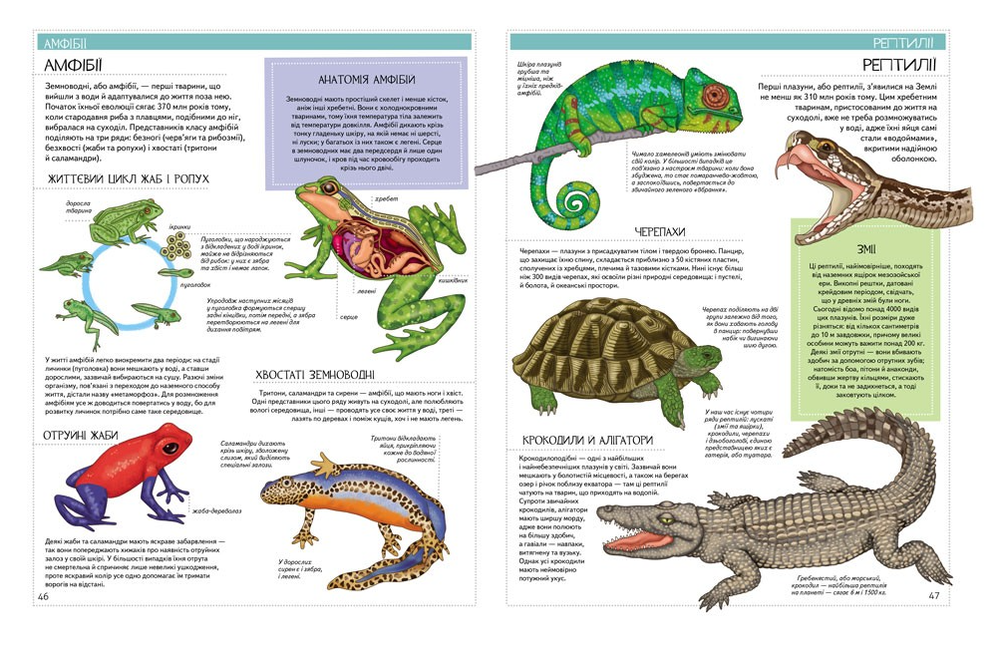 Енциклопедія Всезнайки. Більше 500 цікавих фактів. Пізнаємо світ - Іларія Барзотті. Фото 7