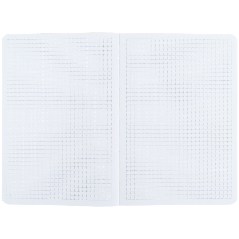 Книга записна Axent Nature`s Melody 2 8700-21-A-TR, A5, 80 аркушів, клітинка. Фото 4