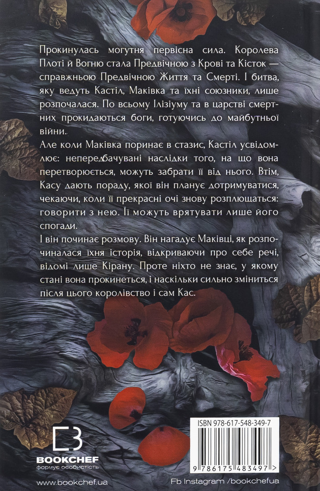 Книга Кров і попіл. Книга 5. Душа з попелу та крові - Дженніфер Лінн Арментраут. Фото 3