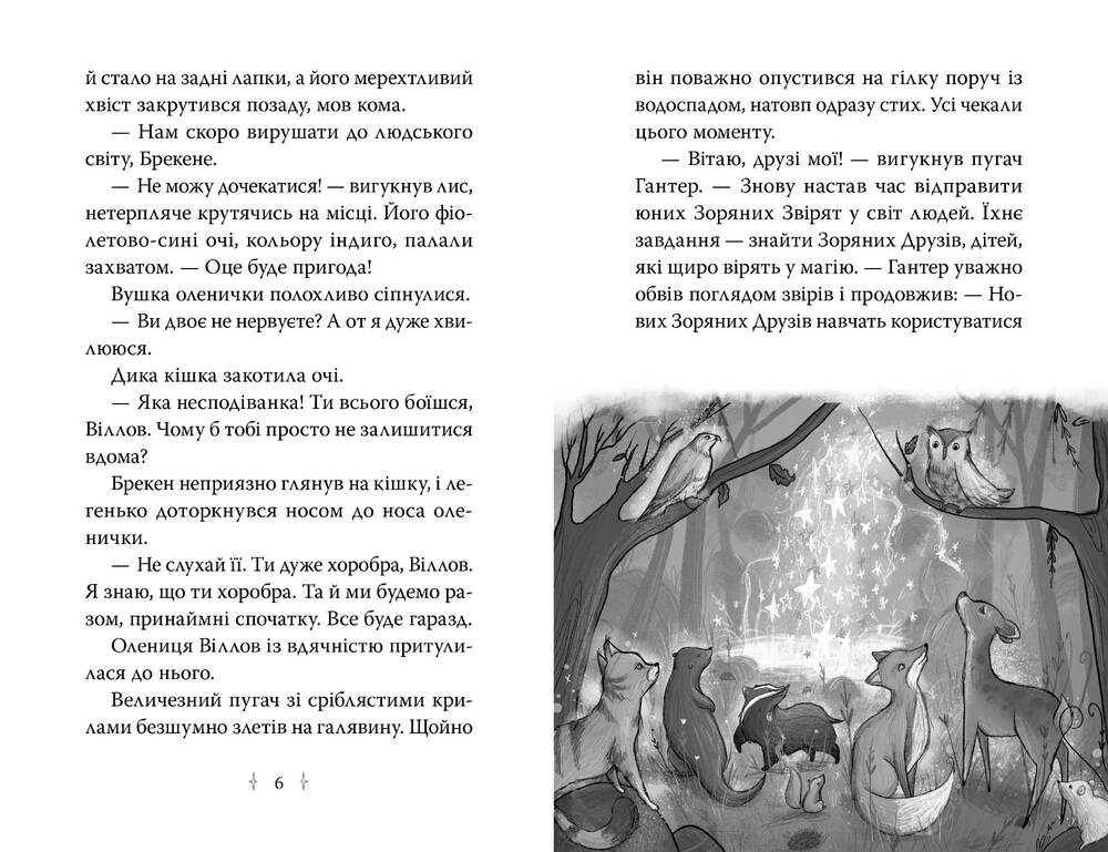 Книга Зоряні Друзі. Книга 1. Зачароване дзеркало - Лінда Чепмен. Фото 2