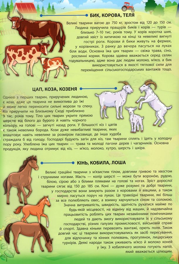 Книга Свійські тварини - Катерина Смірнова. Фото 4