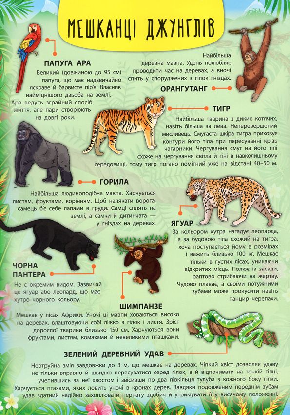 Книга Тварини світу - Катерина Смірнова. Фото 5