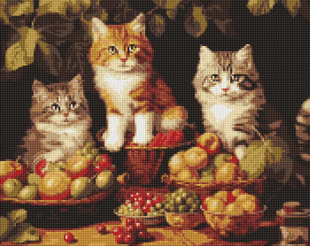 Ideyka Алмазна мозаїка. Котики і фрукти 40х50см