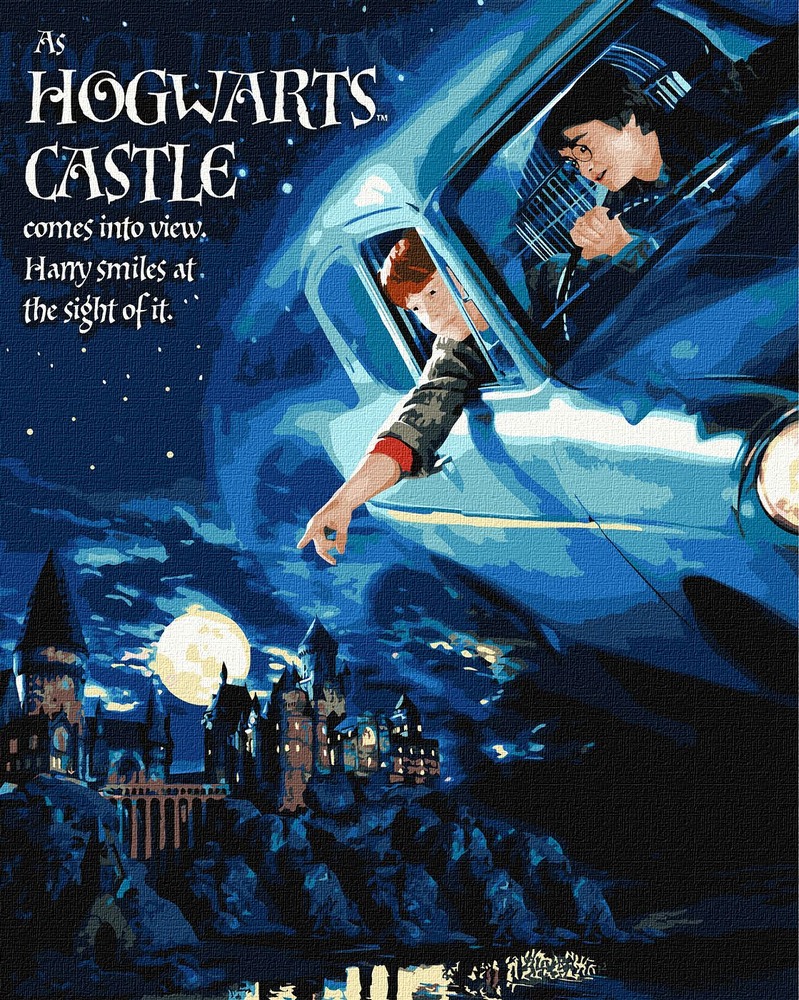 Ideyka Картина за номерами. WB Harry Potter: Політ на авто з фарбами металік 40х50 см