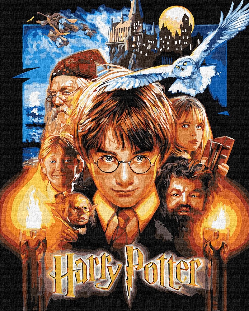 Ideyka Картина за номерами. WB Harry Potter: Постер з фарбами металік 40х50см 