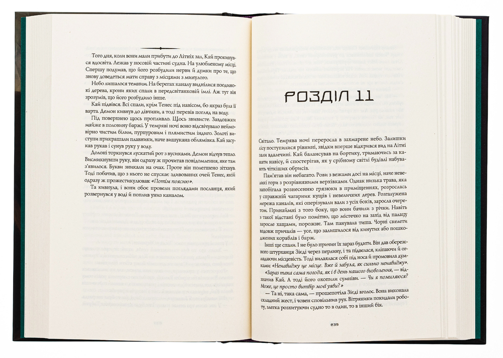 Книга Король відьом - Марта Веллс. Фото 6
