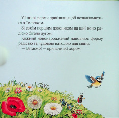 Книга Мої перші емоції - Анналіза Лей. Фото 11