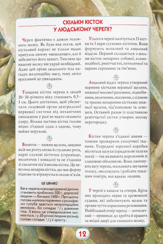 Книга Ви маєте це знати. Тіло людини. Фото 6