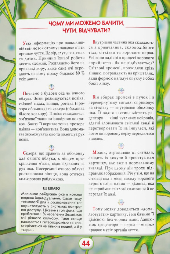 Книга Ви маєте це знати. Тіло людини. Фото 10