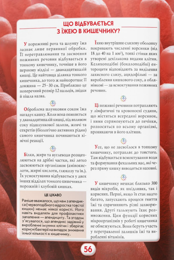 Книга Ви маєте це знати. Тіло людини. Фото 14