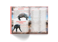 Книга Динозаври та інші давні тварини . Фото 14