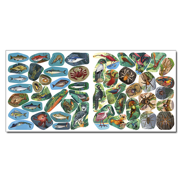Книга Хто де живе. Тварини світу. Блакитна (з наліпками). Фото 5