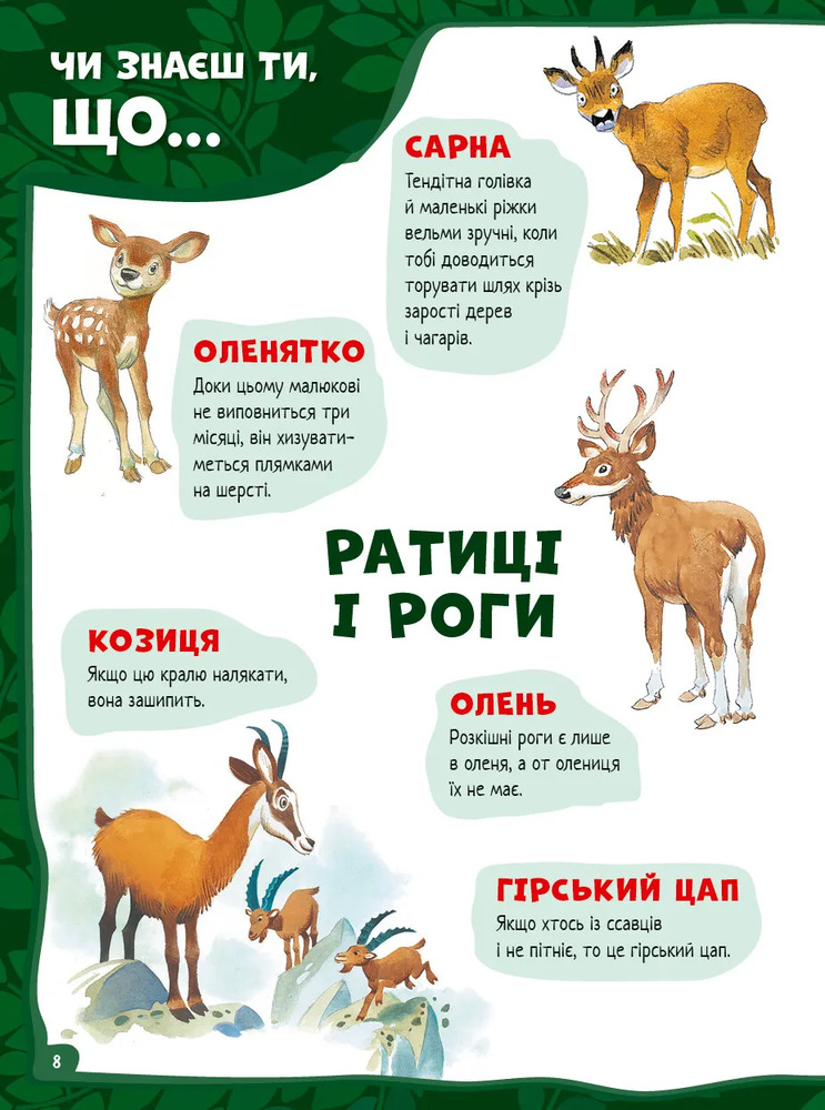 Велика книга про тварин. Фото 5