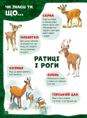 Велика книга про тварин. Фото 5