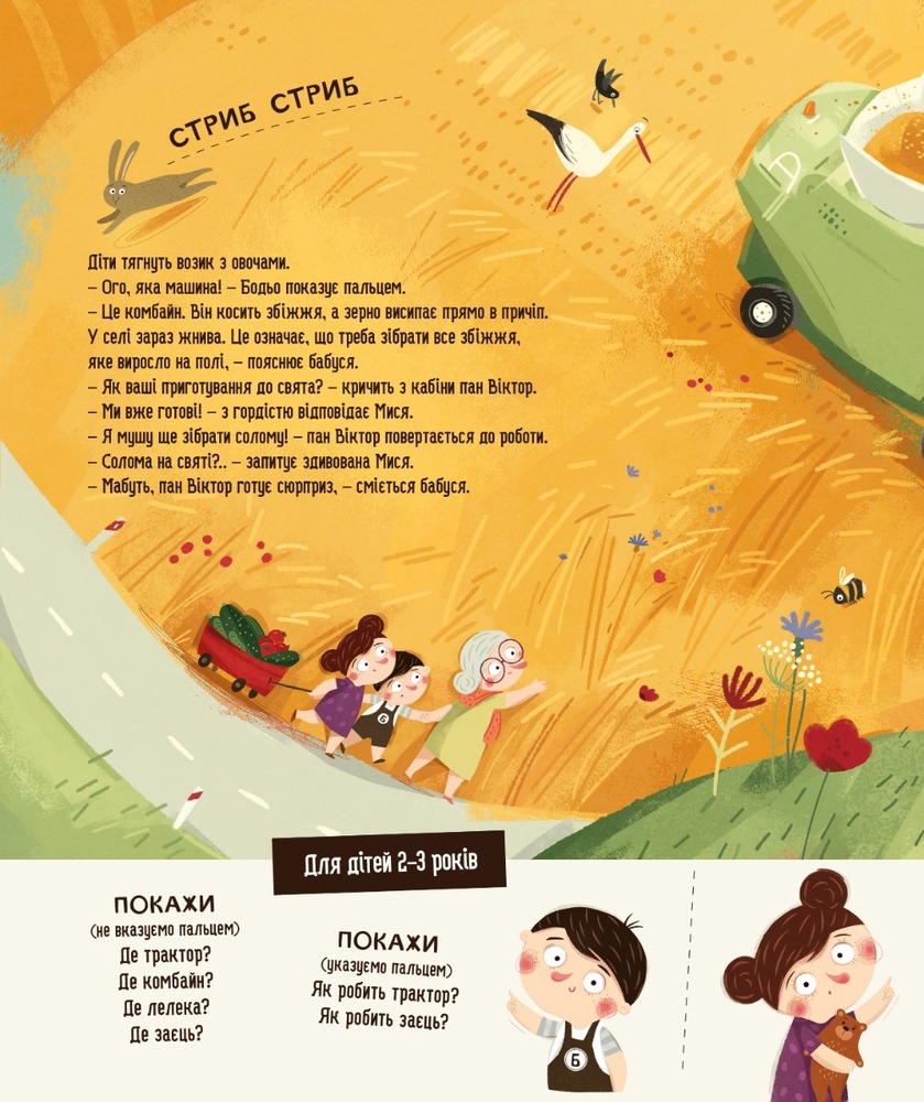 Книга Бодьо в селі. Фото 3
